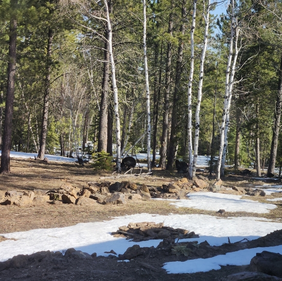 Meet your Posher, Carolyn - Picture 2 of 6